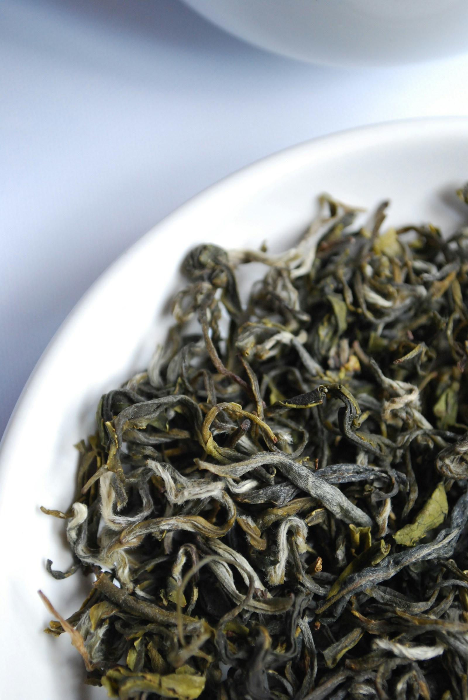 Premium loose leaf tea representing Bober Tea research and development